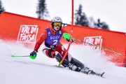 FIS Pozza di Fassa, FIS SL, Foto: E.Lukšo