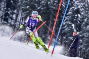 FIS Pozza di Fassa, FIS SL, Foto: E.Lukšo