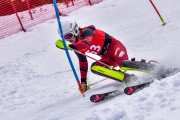 FIS Pozza di Fassa, FIS SL, Foto: E.Lukšo