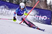 FIS Pozza di Fassa, FIS SL, Foto: E.Lukšo