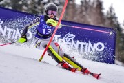 FIS Pozza di Fassa, FIS SL, Foto: E.Lukšo