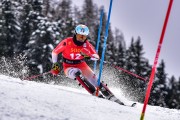 FIS Pozza di Fassa, FIS SL, Foto: E.Lukšo