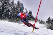 FIS Pozza di Fassa, FIS SL, Foto: E.Lukšo