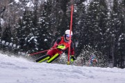 FIS Pozza di Fassa, FIS SL, Foto: E.Lukšo