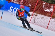 FIS Baltijas kauss 2024 6. posms, SG un AC, Foto: E.Lukšo