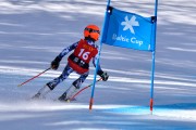 FIS Baltijas kauss 2024 6. posms, SG un AC, Foto: E.Lukšo