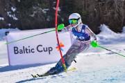 FIS Baltijas kauss 2024 6. posms, SG un AC, Foto: E.Lukšo