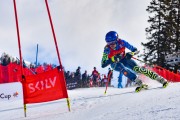 FIS Baltijas kauss 2024 6. posms, GS, Foto: E.Lukšo