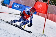 FIS Baltijas kauss 2024 6. posms, GS, Foto: E.Lukšo