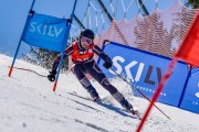 FIS Baltijas kauss 2024 6. posms, GS, Foto: E.Lukšo