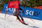 FIS Baltijas kauss 2024 6. posms, PSL, Foto: E.Lukšo