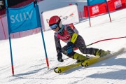 FIS Baltijas kauss 2024 6. posms, PSL, Foto: E.Lukšo