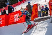 FIS Baltijas kauss 2024 6. posms, PSL, Foto: E.Lukšo