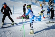 FIS Baltic Cup 2018 3. posms, FIS paralēlais slaloms, Foto: Emīls Lukšo