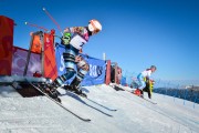 FIS Baltic Cup 2018 3. posms, FIS paralēlais slaloms, Foto: Emīls Lukšo