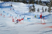 FIS Baltic Cup 2018 3. posms, FIS paralēlais slaloms, Foto: Emīls Lukšo