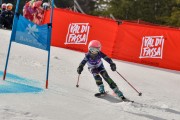 FIS Baltijas kauss 2024 6. posms, U10 sacensības, Foto: E.Lukšo