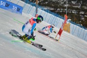 FIS Baltic Cup 2018 3. posms, FIS paralēlais slaloms, Foto: Emīls Lukšo