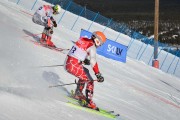 FIS Baltic Cup 2018 3. posms, FIS paralēlais slaloms, Foto: Emīls Lukšo