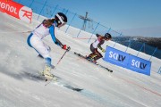 FIS Baltic Cup 2018 3. posms, FIS paralēlais slaloms, Foto: Emīls Lukšo