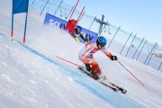 FIS Baltic Cup 2018 3. posms, FIS paralēlais slaloms, Foto: Emīls Lukšo