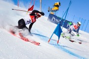 FIS Baltic Cup 2018 3. posms, FIS paralēlais slaloms, Foto: Emīls Lukšo