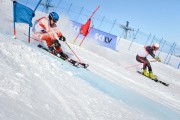 FIS Baltic Cup 2018 3. posms, FIS paralēlais slaloms, Foto: Emīls Lukšo