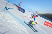 FIS Baltic Cup 2018 3. posms, FIS paralēlais slaloms, Foto: Emīls Lukšo