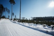 FIS Latvijas Čempionāts 2018 otrias posms, intervāla starts, Foto: Jānis Vīksna