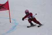 Vilciņa kauss 3.posms - Tarzāna kauss, Foto: S.Meldere