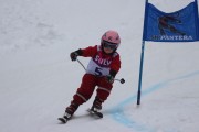 Vilciņa kauss 3.posms - Tarzāna kauss, Foto: S.Meldere