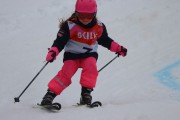 Vilciņa kauss 3.posms - Tarzāna kauss, Foto: S.Meldere