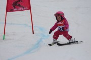 Vilciņa kauss 3.posms - Tarzāna kauss, Foto: S.Meldere