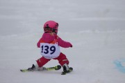 Vilciņa kauss 3.posms - Tarzāna kauss, Foto: S.Meldere