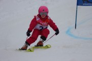 Vilciņa kauss 3.posms - Tarzāna kauss, Foto: S.Meldere