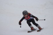 Vilciņa kauss 3.posms - Tarzāna kauss, Foto: S.Meldere