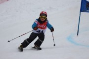 Vilciņa kauss 3.posms - Tarzāna kauss, Foto: S.Meldere