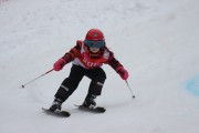 Vilciņa kauss 3.posms - Tarzāna kauss, Foto: S.Meldere