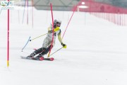FIS Baltijas kauss 2026. 1.posms, FIS slaloms, foto: A.Pustovit