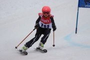 Vilciņa kauss 3.posms - Tarzāna kauss, Foto: S.Meldere