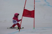 Vilciņa kauss 3.posms - Tarzāna kauss, Foto: S.Meldere