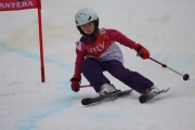 Vilciņa kauss 3.posms - Tarzāna kauss, Foto: S.Meldere