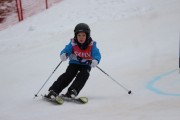 Vilciņa kauss 3.posms - Tarzāna kauss, Foto: S.Meldere