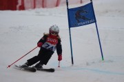 Vilciņa kauss 3.posms - Tarzāna kauss, Foto: S.Meldere