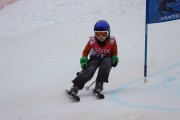 Vilciņa kauss 3.posms - Tarzāna kauss, Foto: S.Meldere