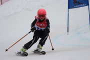 Vilciņa kauss 3.posms - Tarzāna kauss, Foto: S.Meldere