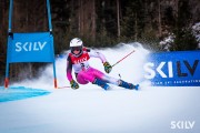 SKILV CUP Pozza di Fassa 2026, Foto: E.Lukšo