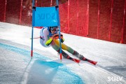 SKILV CUP Pozza di Fassa 2026, Foto: E.Lukšo