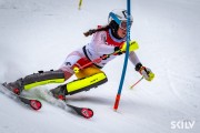 SKILV CUP Pozza di Fassa 2026, Foto: E.Lukšo