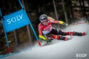 SKILV CUP Pozza di Fassa 2026, Foto: E.Lukšo